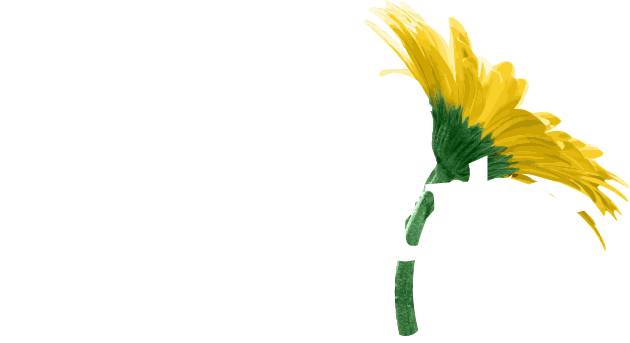 Absolute Companion Care Logo